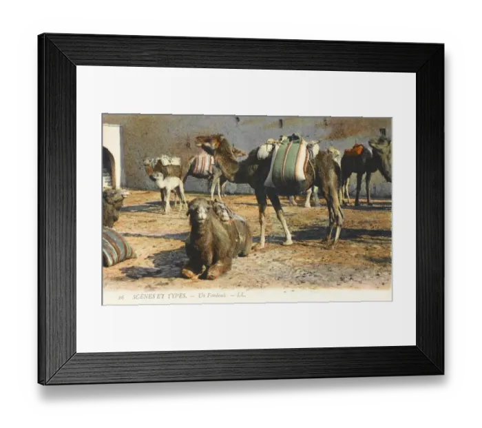Framed Print : Camels at a Fondouk Framed Print : Camels at a Fondouk