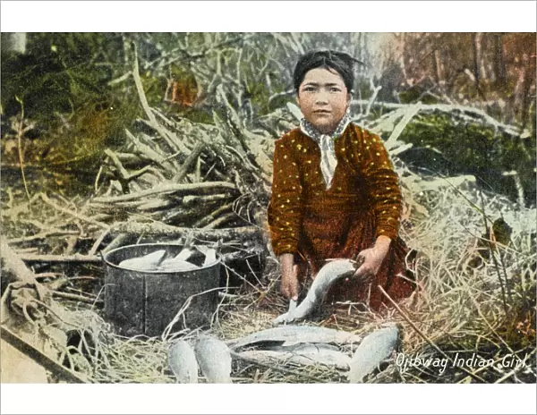 Canada - Ojibwa Girl cleaning the catch