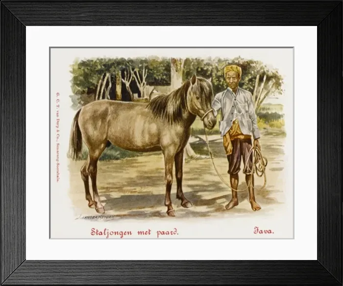 Framed Print : Java - Indonesia - Stableboy with horse Framed Print : Java - Indonesia - Stableboy with horse