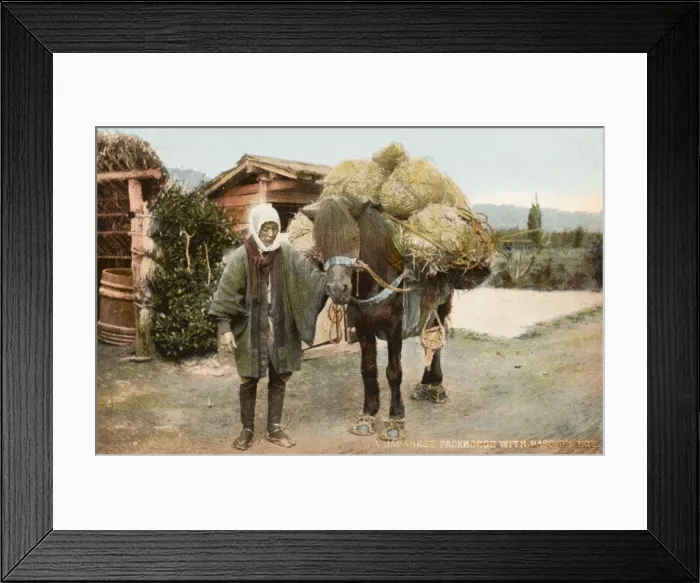 Framed Print : Japanese packhorse with bags of rice Framed Print : Japanese packhorse with bags of rice