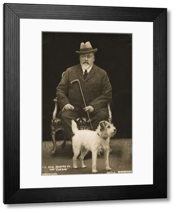 Framed Print : Edward VII and his dog Caesar