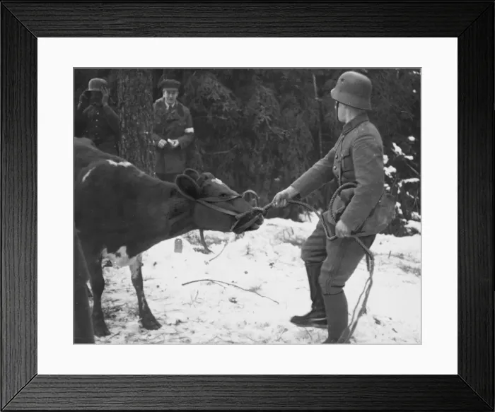 Framed Print : Mannerheim line WWII Framed Print : Mannerheim line WWII