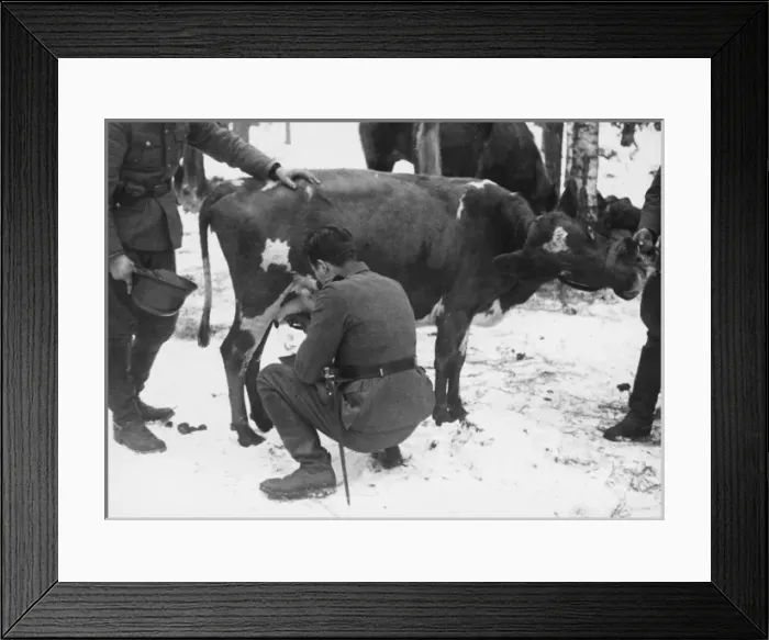 Framed Print : Mannerheim line WWII Framed Print : Mannerheim line WWII