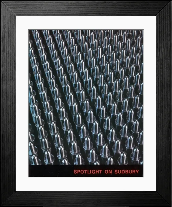 Framed Print : Injectors for Diesel Engines Framed Print : Injectors for Diesel Engines
