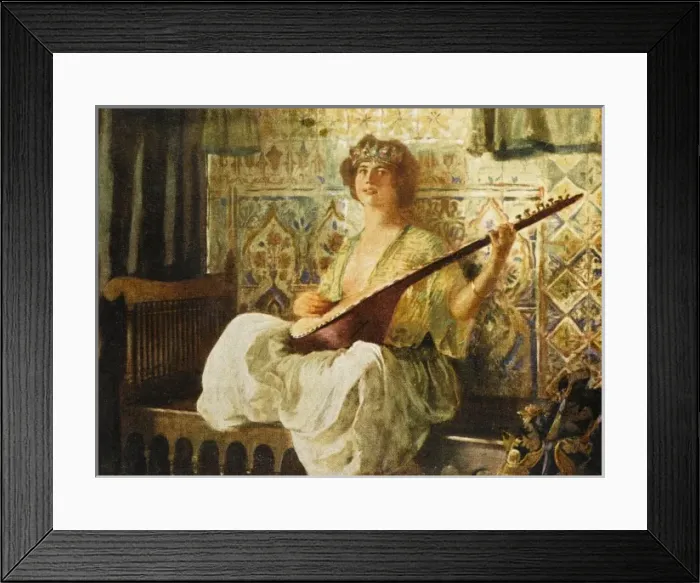 Framed Print : Tukish woman playing the lute in the Harem Framed Print : Tukish woman playing the lute in the Harem