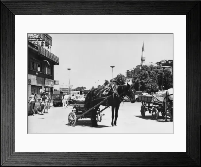 Framed Print : Istanbul, Turkey - Horse-drawn cart Framed Print : Istanbul, Turkey - Horse-drawn cart