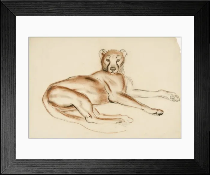 Framed Print : A Puma - study in pastel Framed Print : A Puma - study in pastel