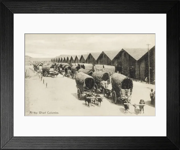 Framed Print : The Wharf - Colombo, Sri Lanka Framed Print : The Wharf - Colombo, Sri Lanka
