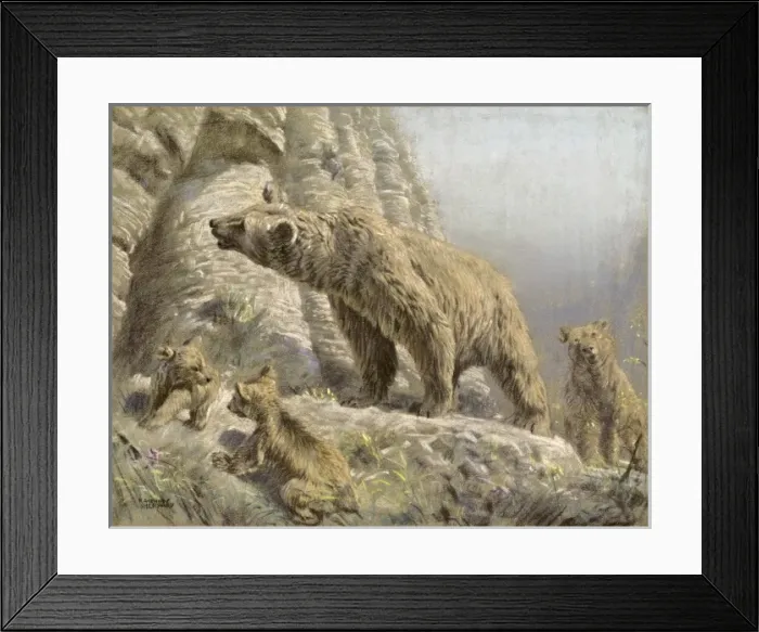 Framed Print : Brown Bear and Cubs Framed Print : Brown Bear and Cubs