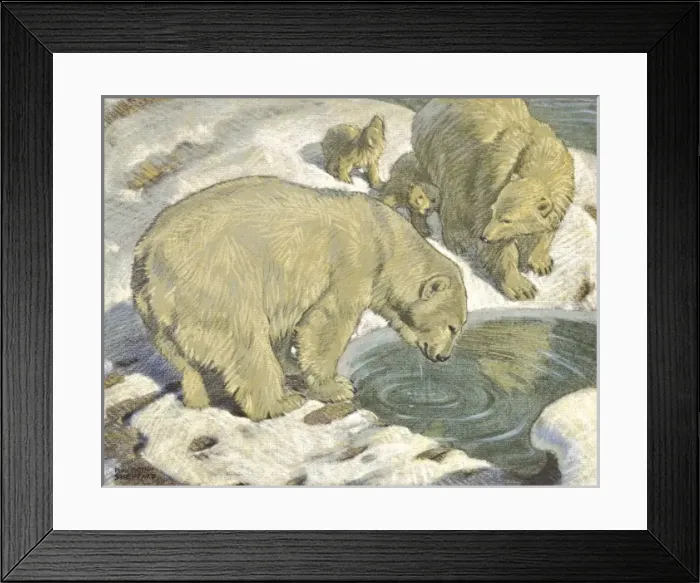 Framed Print : Polar Bears Framed Print : Polar Bears