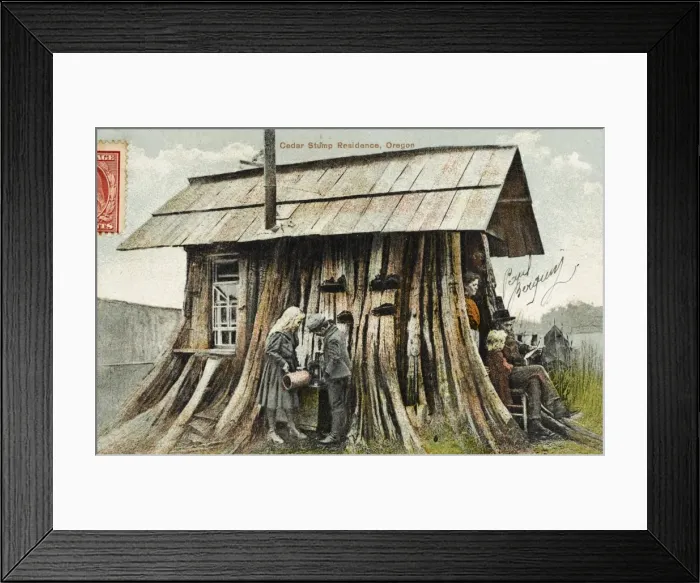 Framed Print : Cedar Stump Residence, Oregon Framed Print : Cedar Stump Residence, Oregon