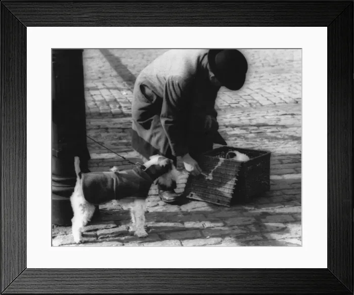 Framed Print : Man with dogs and basket Framed Print : Man with dogs and basket