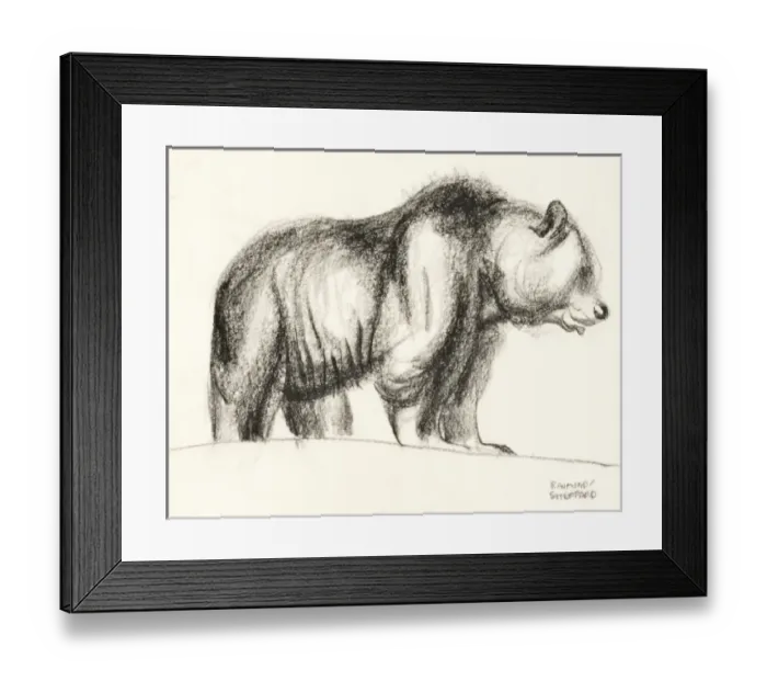 Framed Print : Brown Bear Framed Print : Brown Bear
