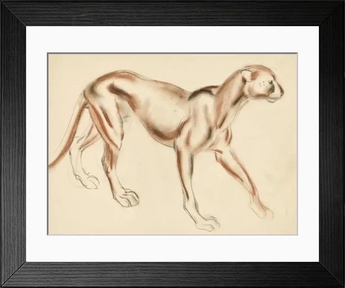 Framed Print : A Puma - pastel study Framed Print : A Puma - pastel study