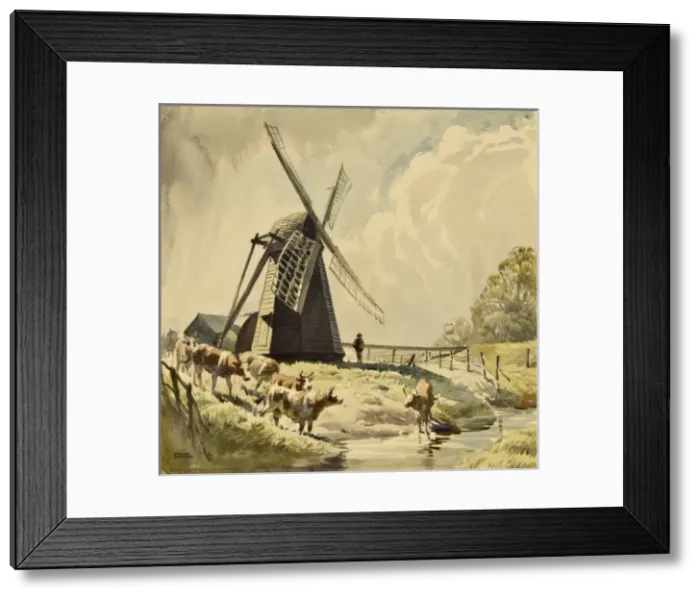 Framed Print : Draining Mill, Herringfleet with cattle Framed Print : Draining Mill, Herringfleet with cattle