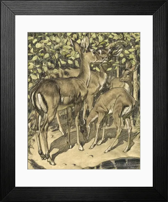 Framed Print : Group of Deer Framed Print : Group of Deer
