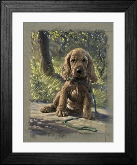 Framed Print : A puppy with a baleful expression Framed Print : A puppy with a baleful expression