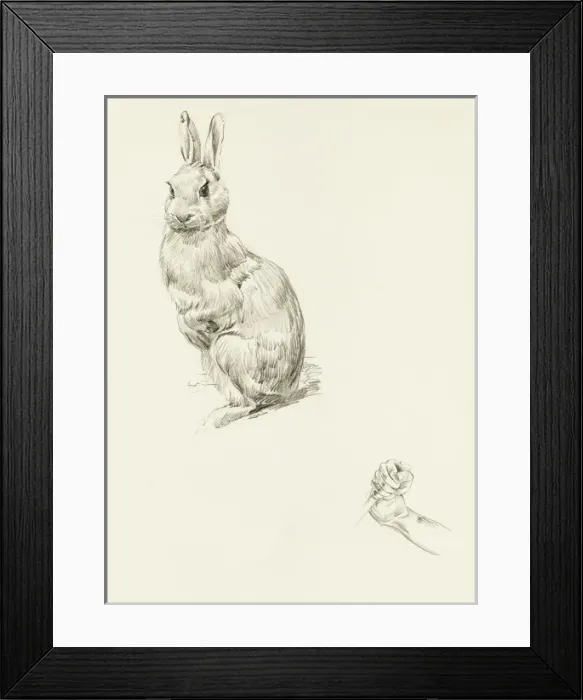 Framed Print : Pencil studies of a rabbit and grasping fist Framed Print : Pencil studies of a rabbit and grasping fist