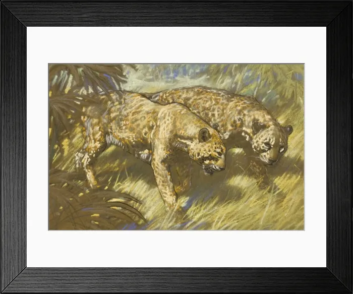Framed Print : Two Leopards in the African bush Framed Print : Two Leopards in the African bush