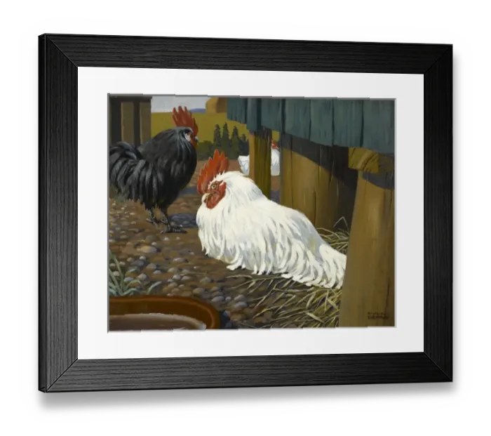 Framed Print : Two Cockerels Framed Print : Two Cockerels
