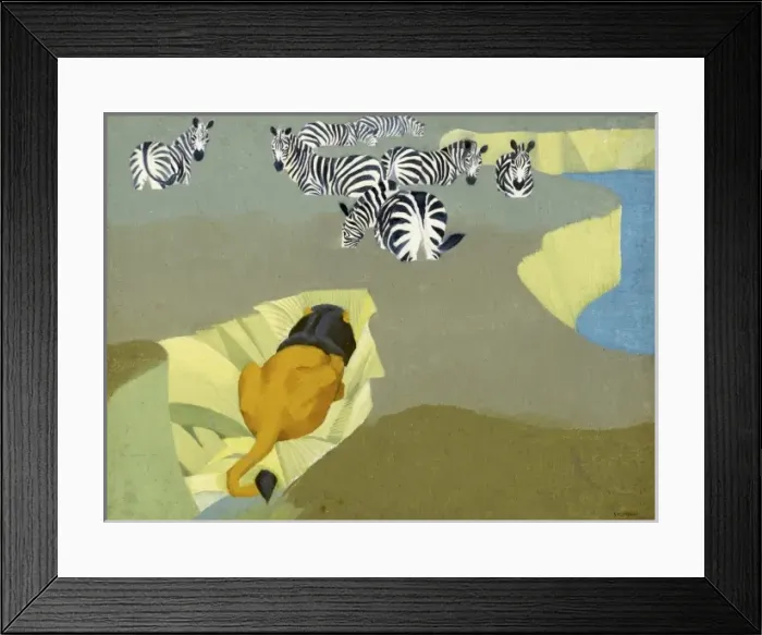 Framed Print : Lion stalking a herd of Zebra Framed Print : Lion stalking a herd of Zebra