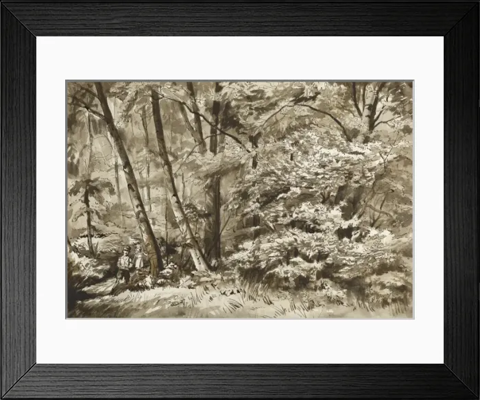 Framed Print : Woodland scene Framed Print : Woodland scene