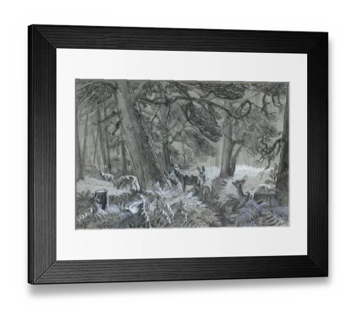 Framed Print : Deer in the forest Framed Print : Deer in the forest