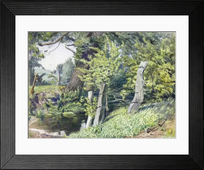 Framed Print : A Pond in a woodland setting Framed Print : A Pond in a woodland setting