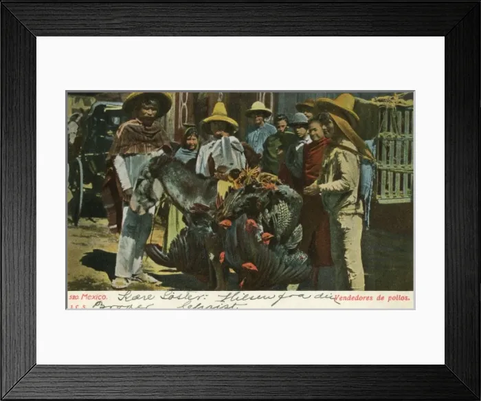 Framed Print : Mexican Turkey Seller Framed Print : Mexican Turkey Seller