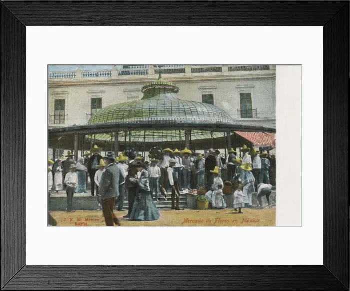 Framed Print : The Flower Market - Veracruz Framed Print : The Flower Market - Veracruz