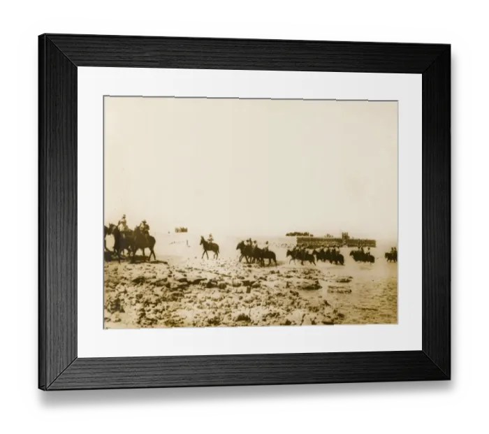 Framed Print : Egyptian Remount Depot WWI Framed Print : Egyptian Remount Depot WWI