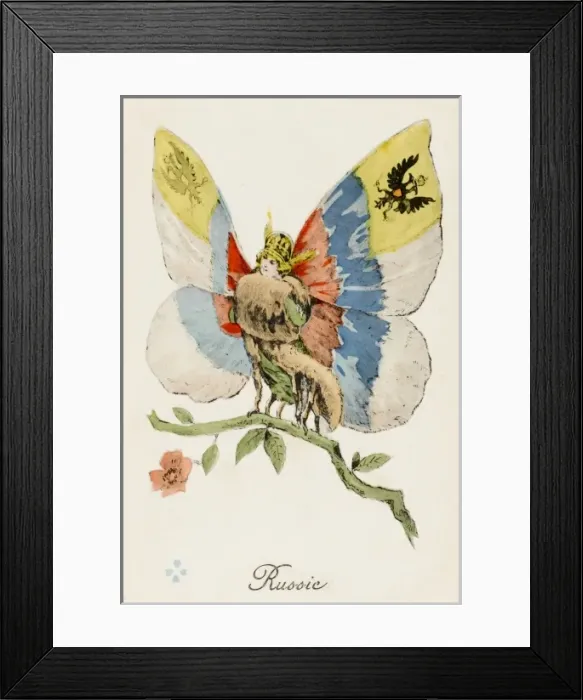 Framed Print : Russia as a butterfly Framed Print : Russia as a butterfly