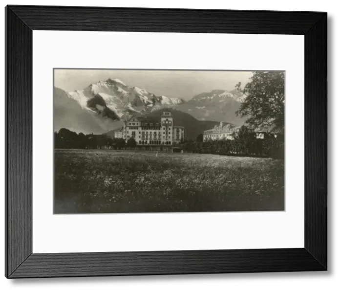 Framed Print : High Alpine meadow before the Jungfrau Mountain Framed Print : High Alpine meadow before the Jungfrau Mountain