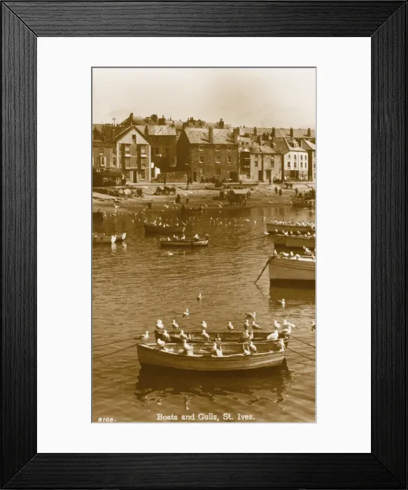 Framed Print : Boats and Gulls - St Ives, Cornwall Framed Print : Boats and Gulls - St Ives, Cornwall