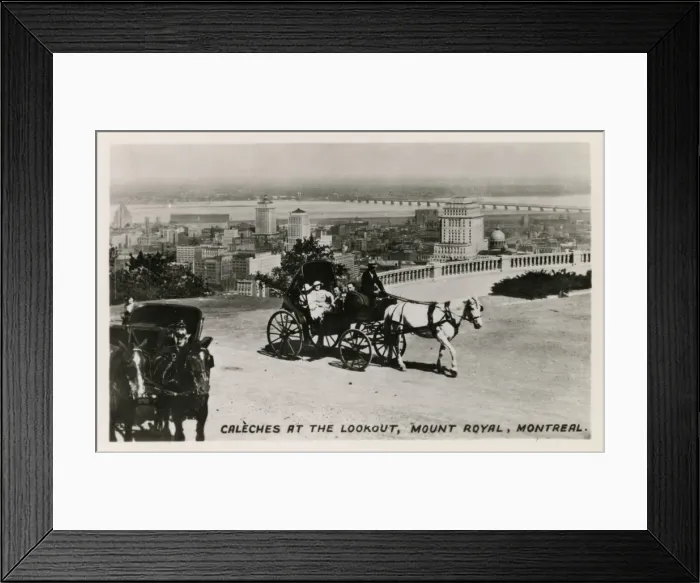 Framed Print : Caleches at the Lookout, Mount Royal, Montreal, Canada Framed Print : Caleches at the Lookout, Mount Royal, Montreal, Canada