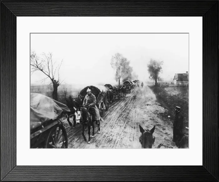 Framed Print : Austrian troops Framed Print : Austrian troops