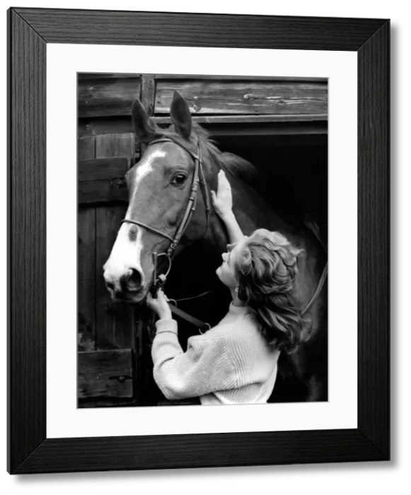 Framed Print : Stable girl with a horse Framed Print : Stable girl with a horse