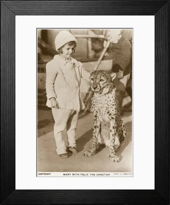 Framed Print : Little girl and Cheetah Framed Print : Little girl and Cheetah