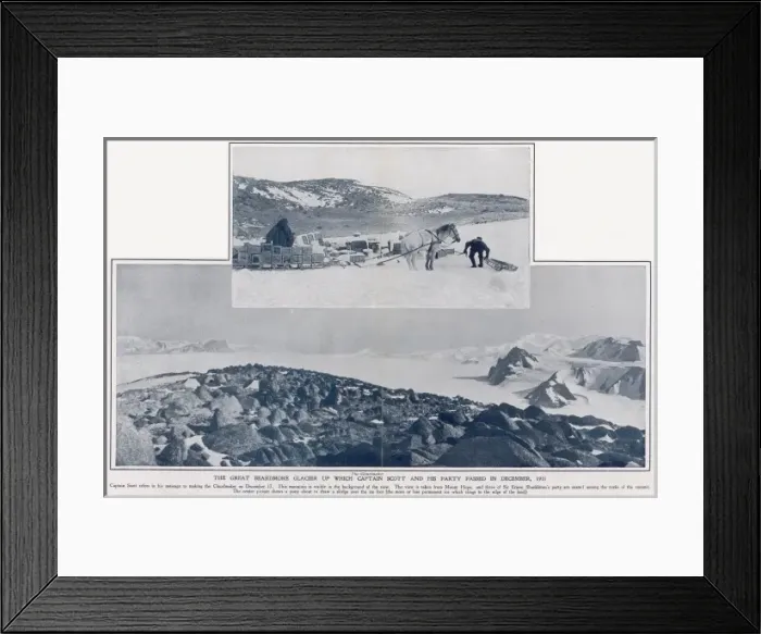 Framed Print : Pony drawing sledge in Antarctica Framed Print : Pony drawing sledge in Antarctica