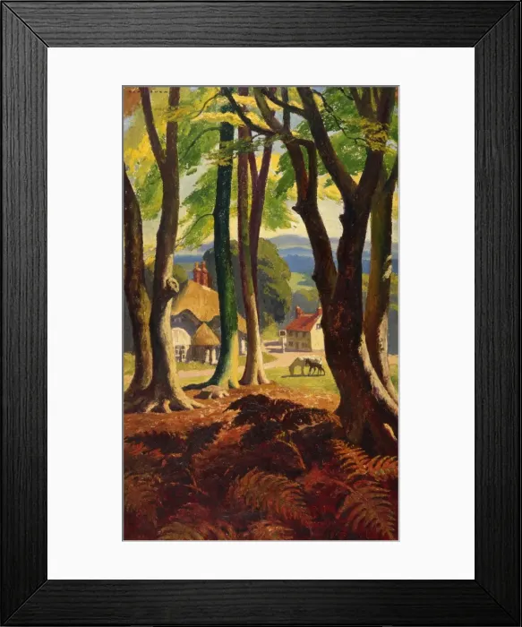 Framed Print : Woodland scene Framed Print : Woodland scene