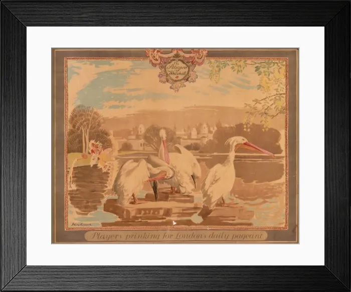 Framed Print : The Pelicans of Whitehall Framed Print : The Pelicans of Whitehall