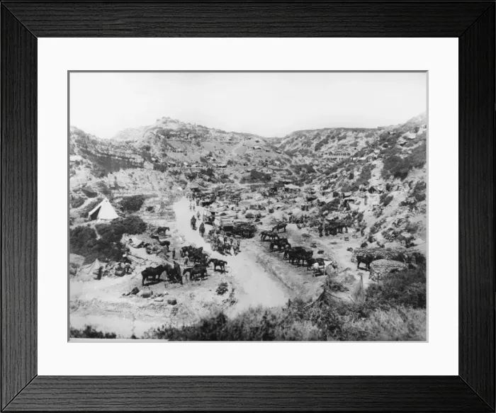 Framed Print : Gallipoli WWI Framed Print : Gallipoli WWI