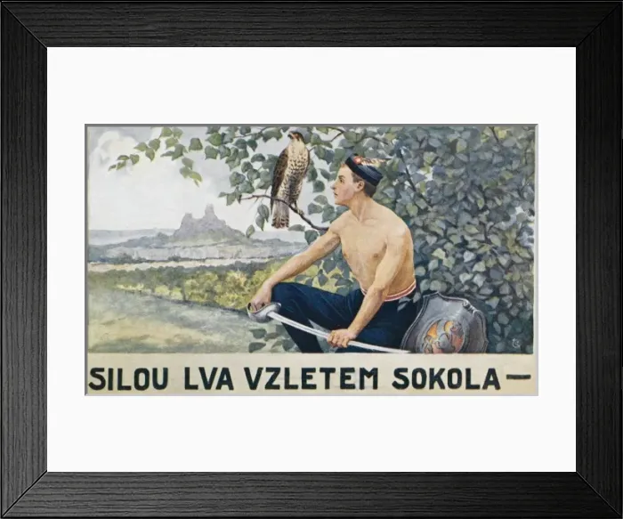 Framed Print : Czech Republic - Sokol Rally in Prague 1929 Framed Print : Czech Republic - Sokol Rally in Prague 1929
