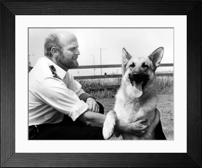 Framed Print : Police dog handler and dog, Camborne, Cornwall Framed Print : Police dog handler and dog, Camborne, Cornwall