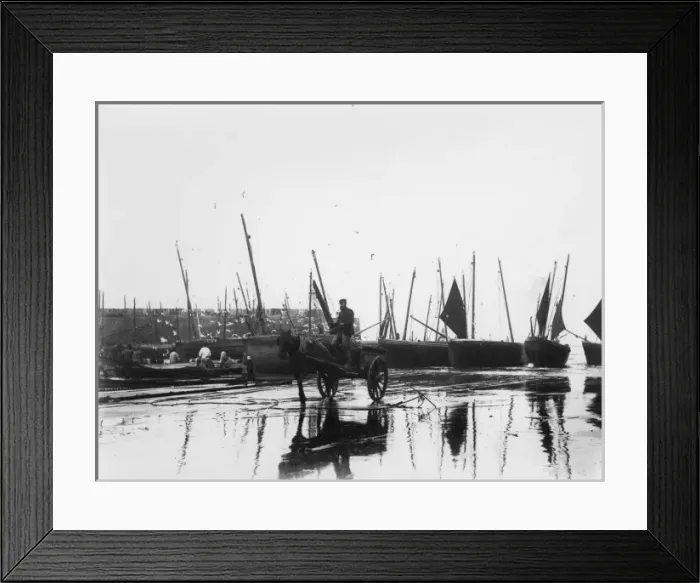 Framed Print : Unloading the catch at St Ives, Cornwall Framed Print : Unloading the catch at St Ives, Cornwall
