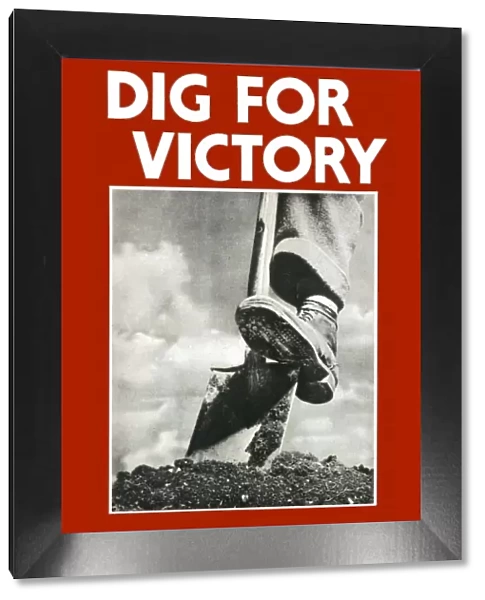 Dig for Victory poster - WWII
