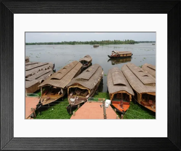 Framed Print : House boats at Alleppey, Kerala, India Framed Print : House boats at Alleppey, Kerala, India