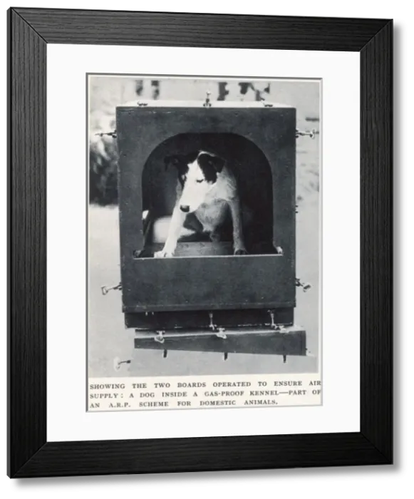 Framed Print : Dog inside gas-proof kennel Framed Print : Dog inside gas-proof kennel