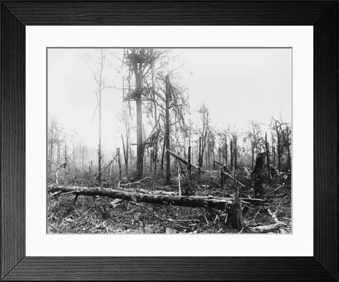 Framed Print : German observation post WWI Framed Print : German observation post WWI