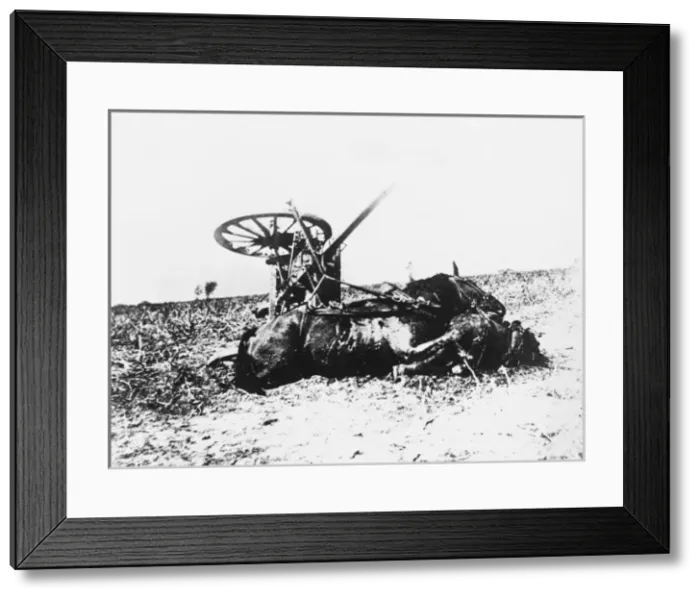 Framed Print : Destroyed German cart WWI Framed Print : Destroyed German cart WWI